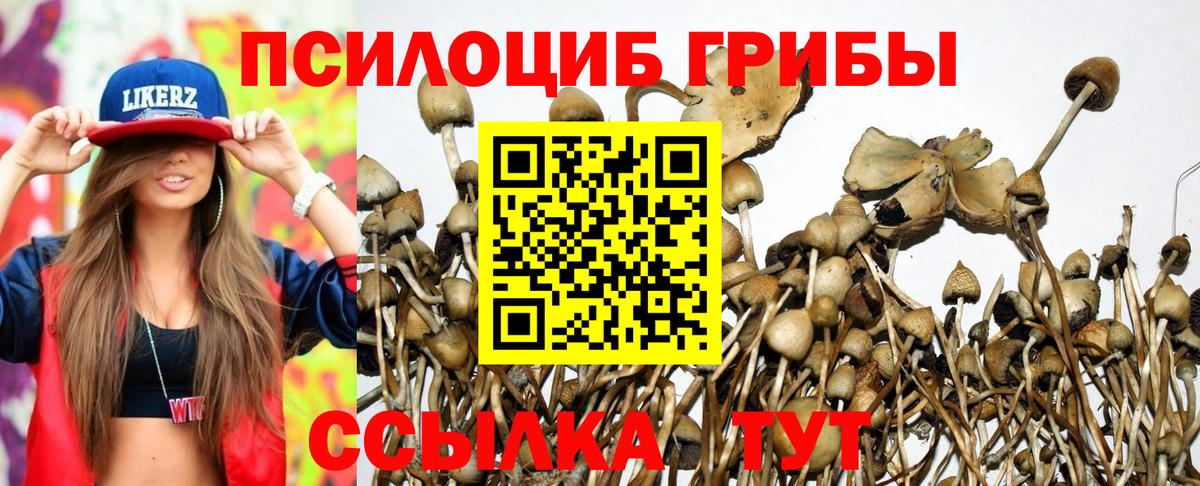 Псилоцибиновые грибы GOLDEN TEACHER Родники