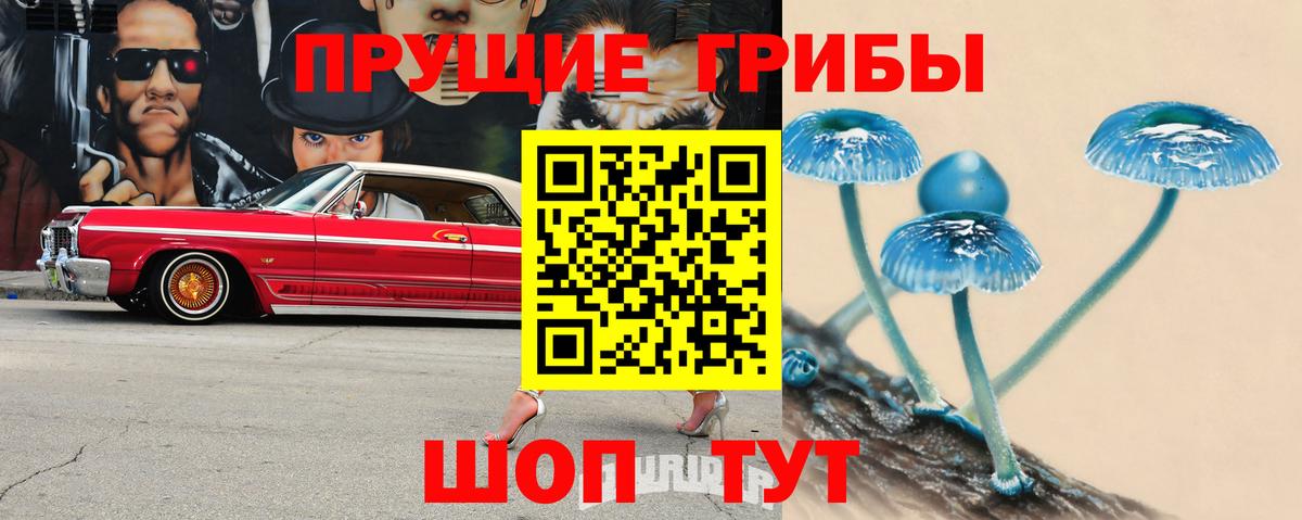 цены   Галлюциногенные грибы GOLDEN TEACHER  Вход с VPN  Родники 